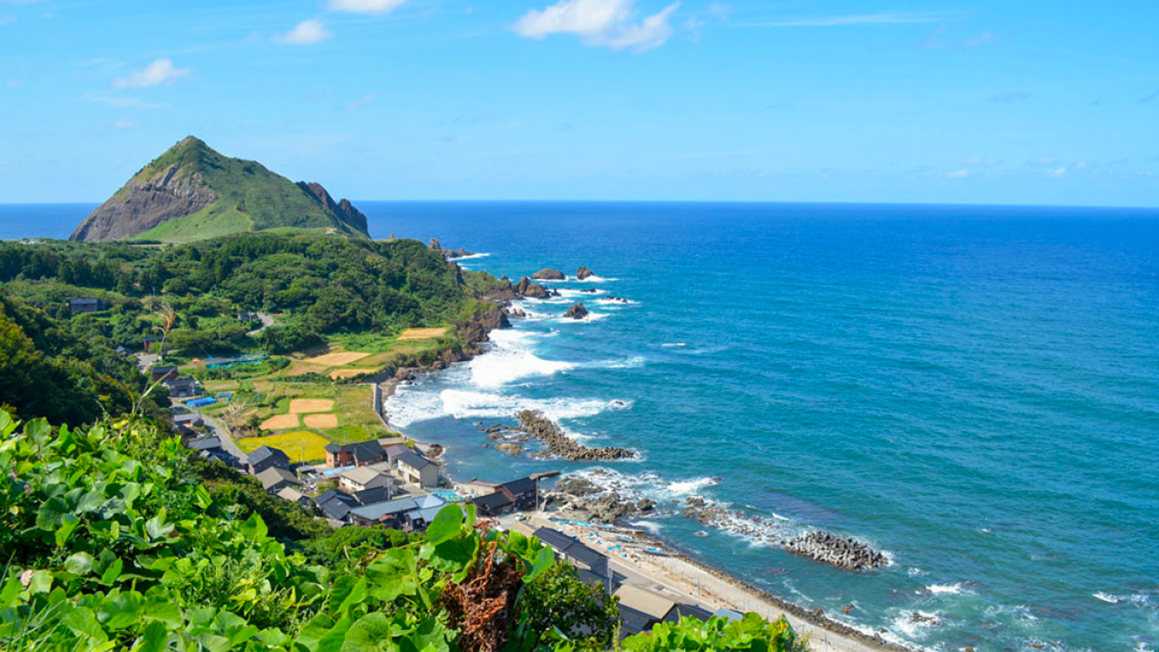 佐渡島地域活性化プロジェクト